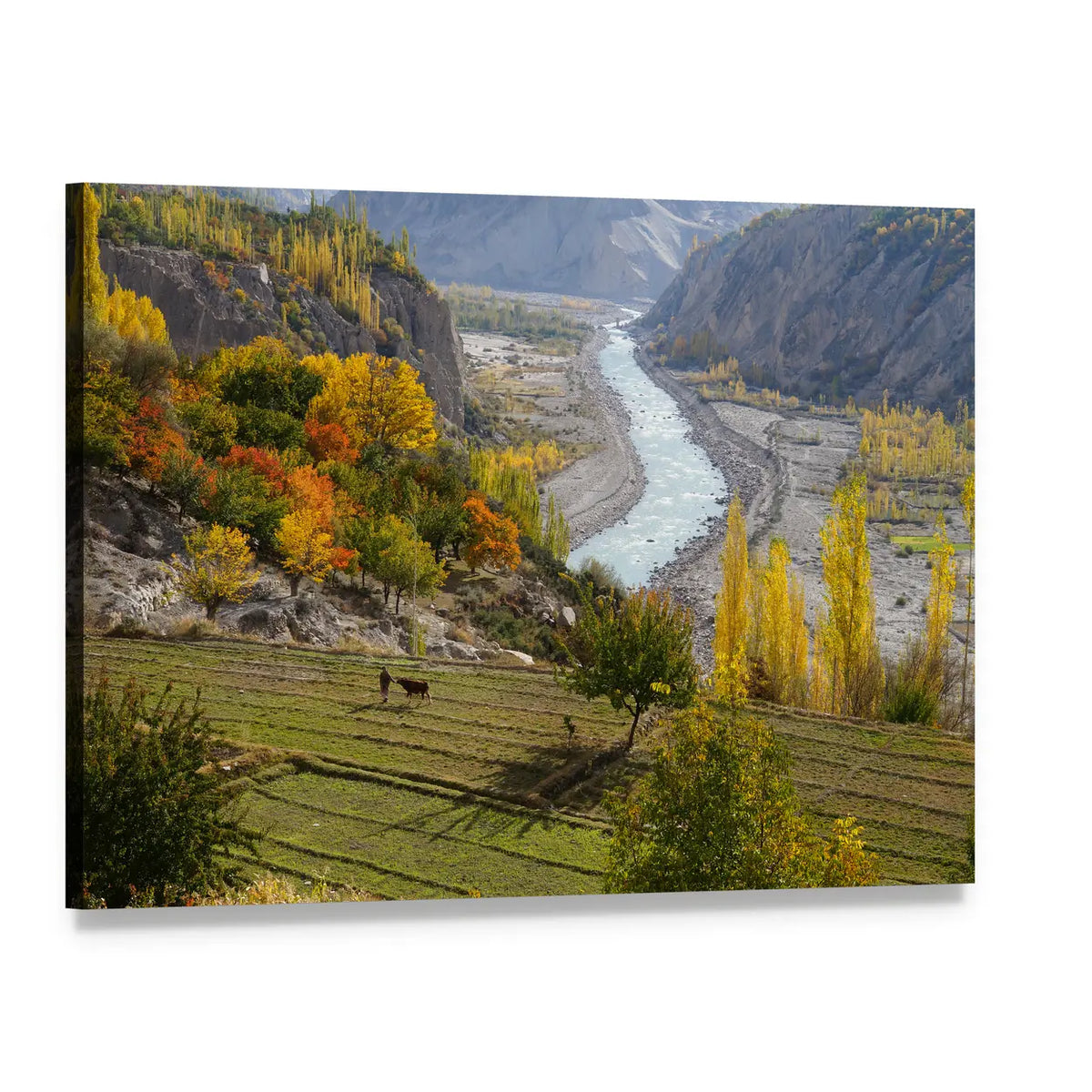 Field Near Hunza Valley Canvas Wall Art, single panel gallery wrapped canvas, angled product view