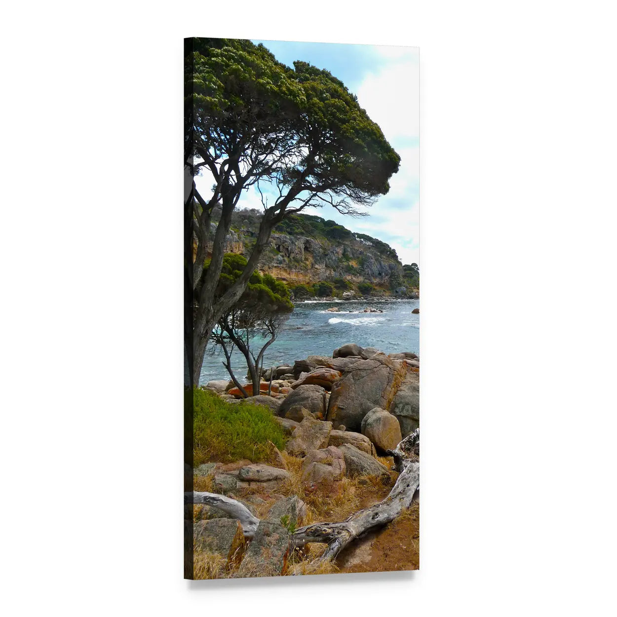 Driftwood on Rocky Beach Vertical Canvas Wall Art, 1 panel 1 Vertical layout gallery wrapped canvas set, angled product view