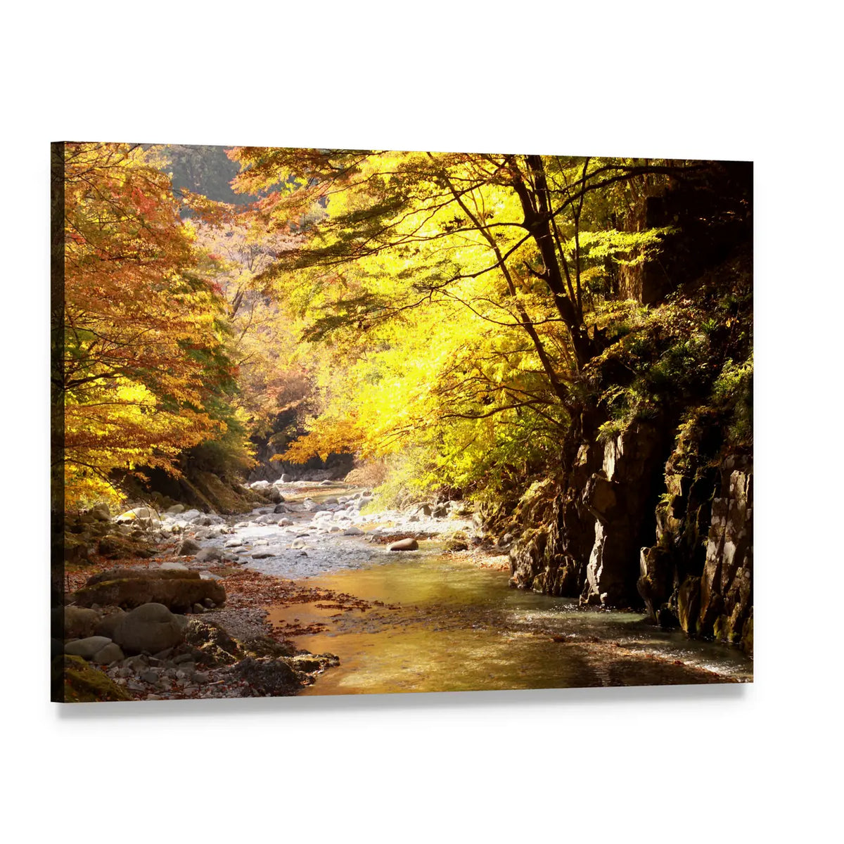 Autumn Stream with Golden Yellow Foliage Canvas Wall Art, single panel gallery wrapped canvas, angled product view