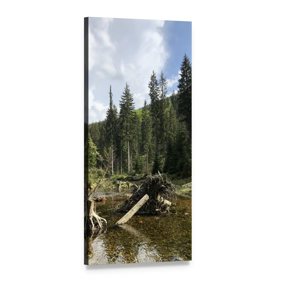 Summer Woodland Stream with Tree Stump Vertical Canvas Wall Art, 1 panel 1 Vertical layout gallery wrapped canvas set, angled product view