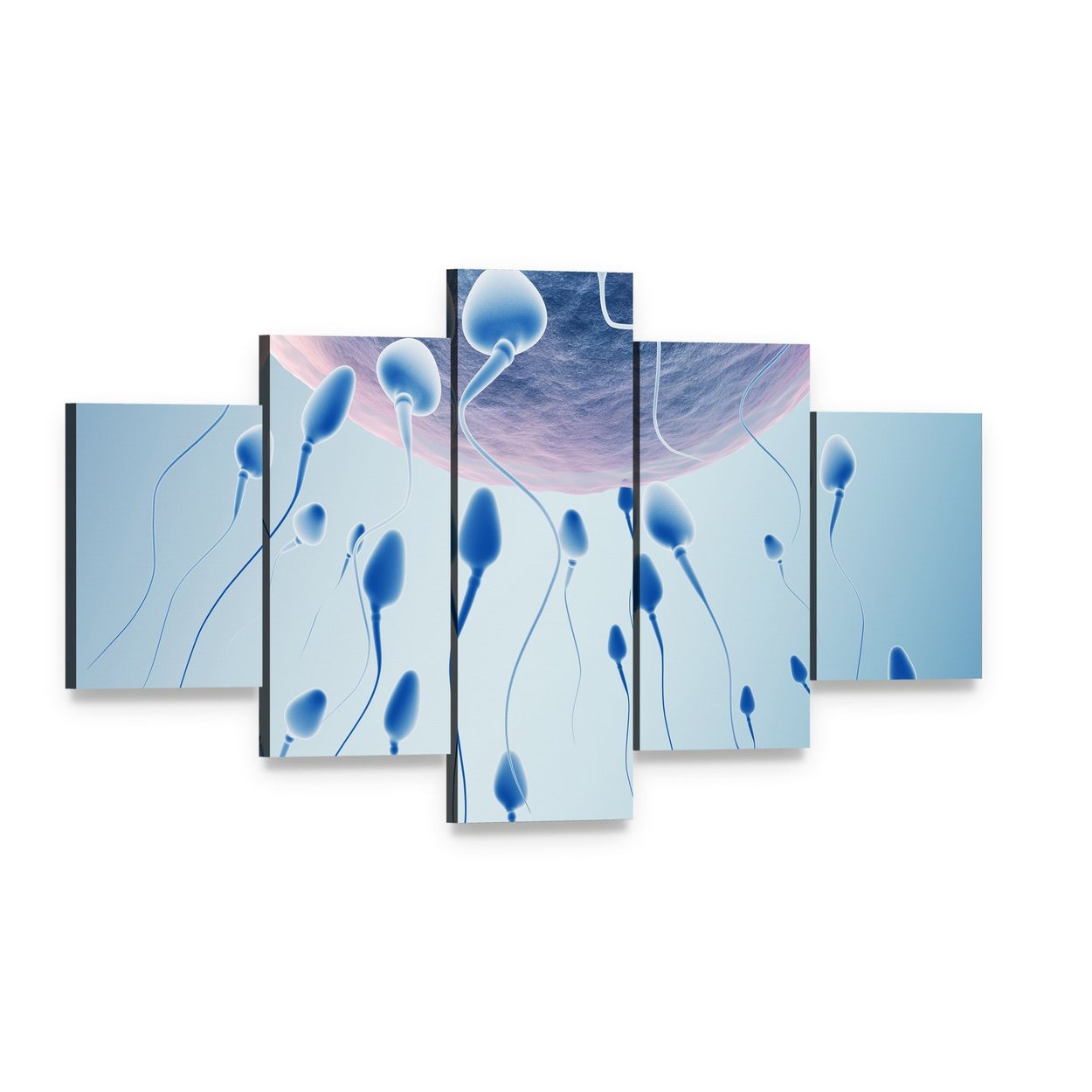 Sperm Approaching Egg Canvas Wall Art, 5 panel 5 Star layout gallery wrapped canvas set, angled product view