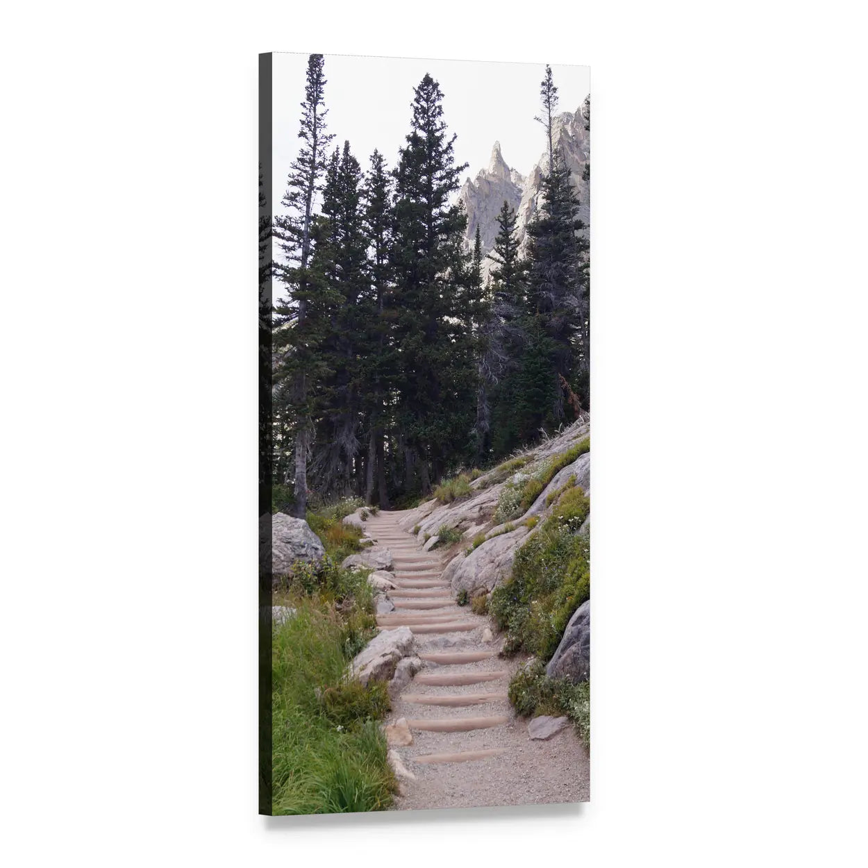 Stone Steps to Pine Forest Vertical Canvas Wall Art, 1 panel 1 Vertical layout gallery wrapped canvas set, angled product view