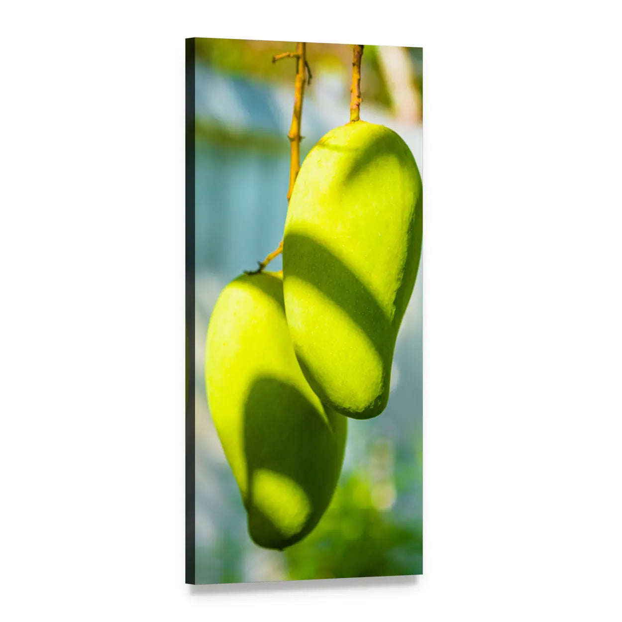 Two Green Mangoes on a Branch Vertical Canvas Wall Art, 1 panel 1 Vertical layout gallery wrapped canvas set, angled product view