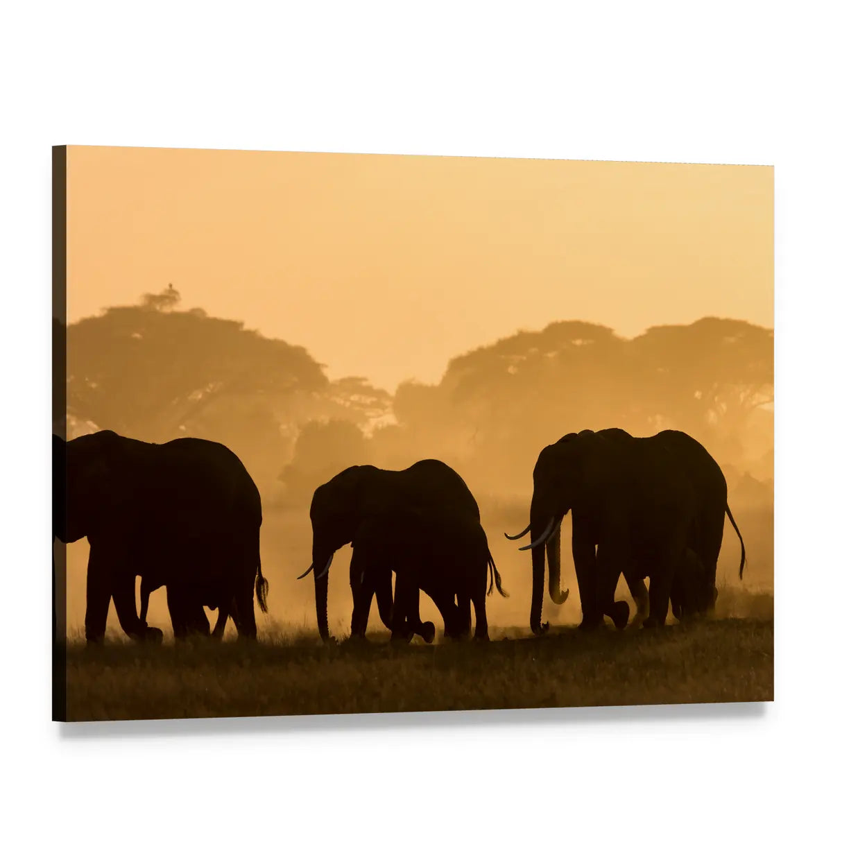 Three Elephant Silhouettes at Sunrise Canvas Wall Art, single panel gallery wrapped canvas, angled product view