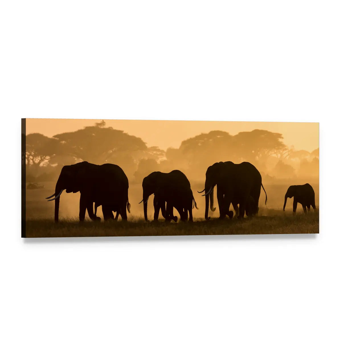 Elephant Silhouettes at Golden Hour Panoramic Canvas Wall Art, single panel gallery wrapped canvas, angled product view