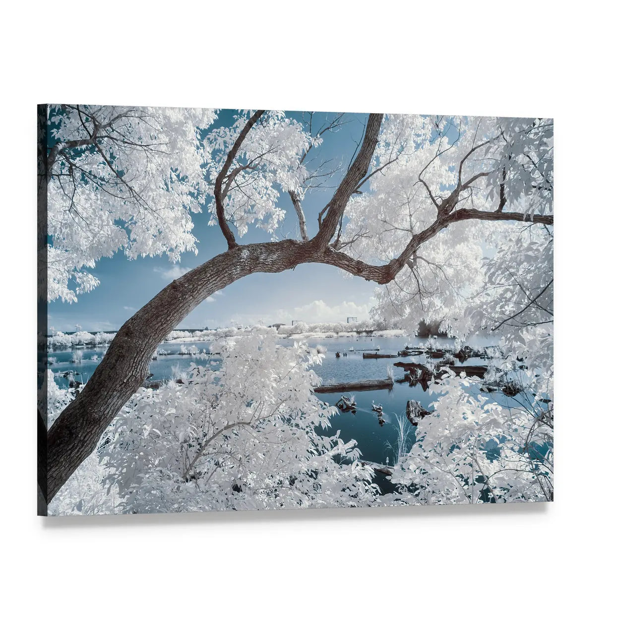 White-foliage Tree Over Forest Pond Canvas Wall Art, single panel gallery wrapped canvas, angled product view