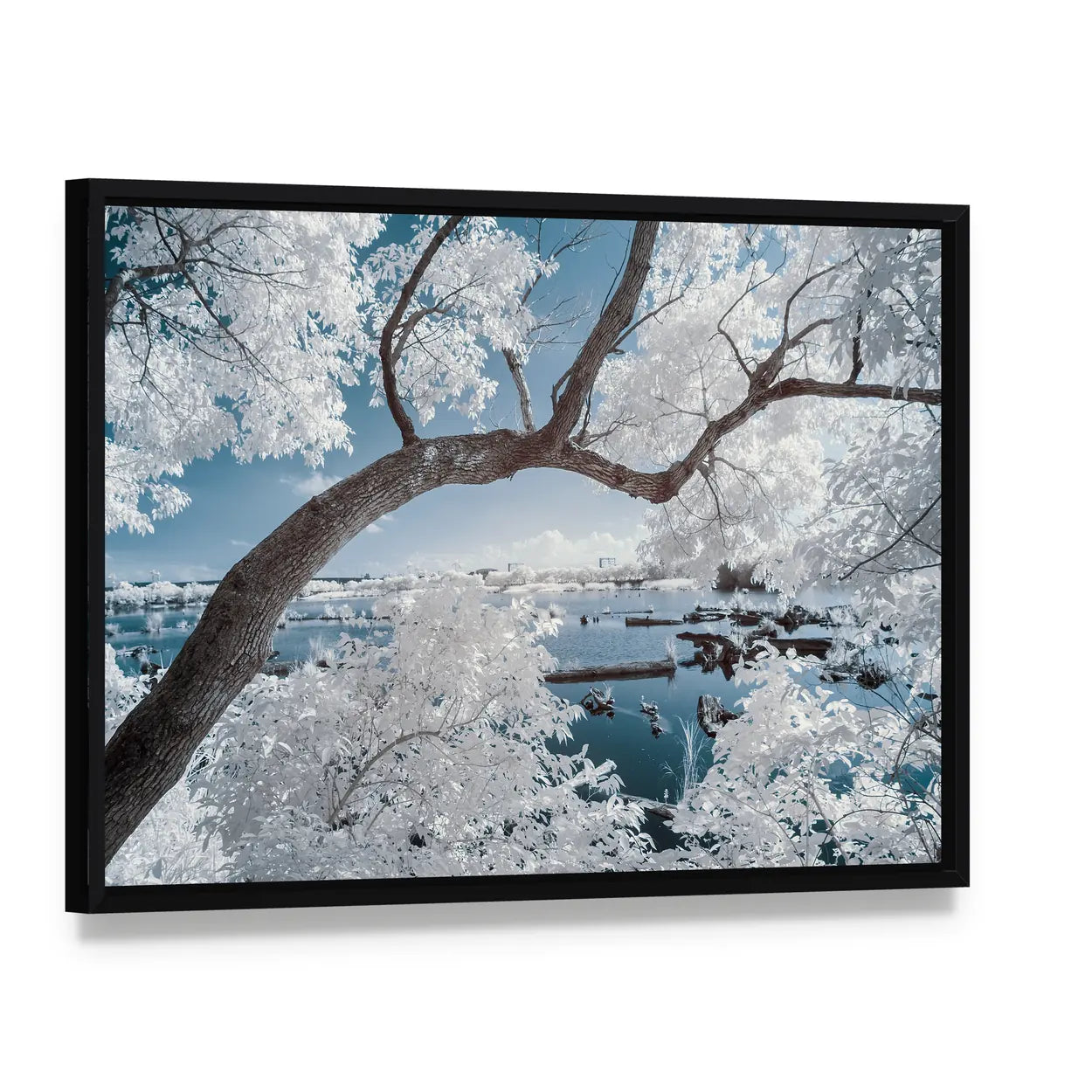 White-foliage Tree Over Forest Pond Canvas Wall Art, framed canvas in a black floater frame, angled product view