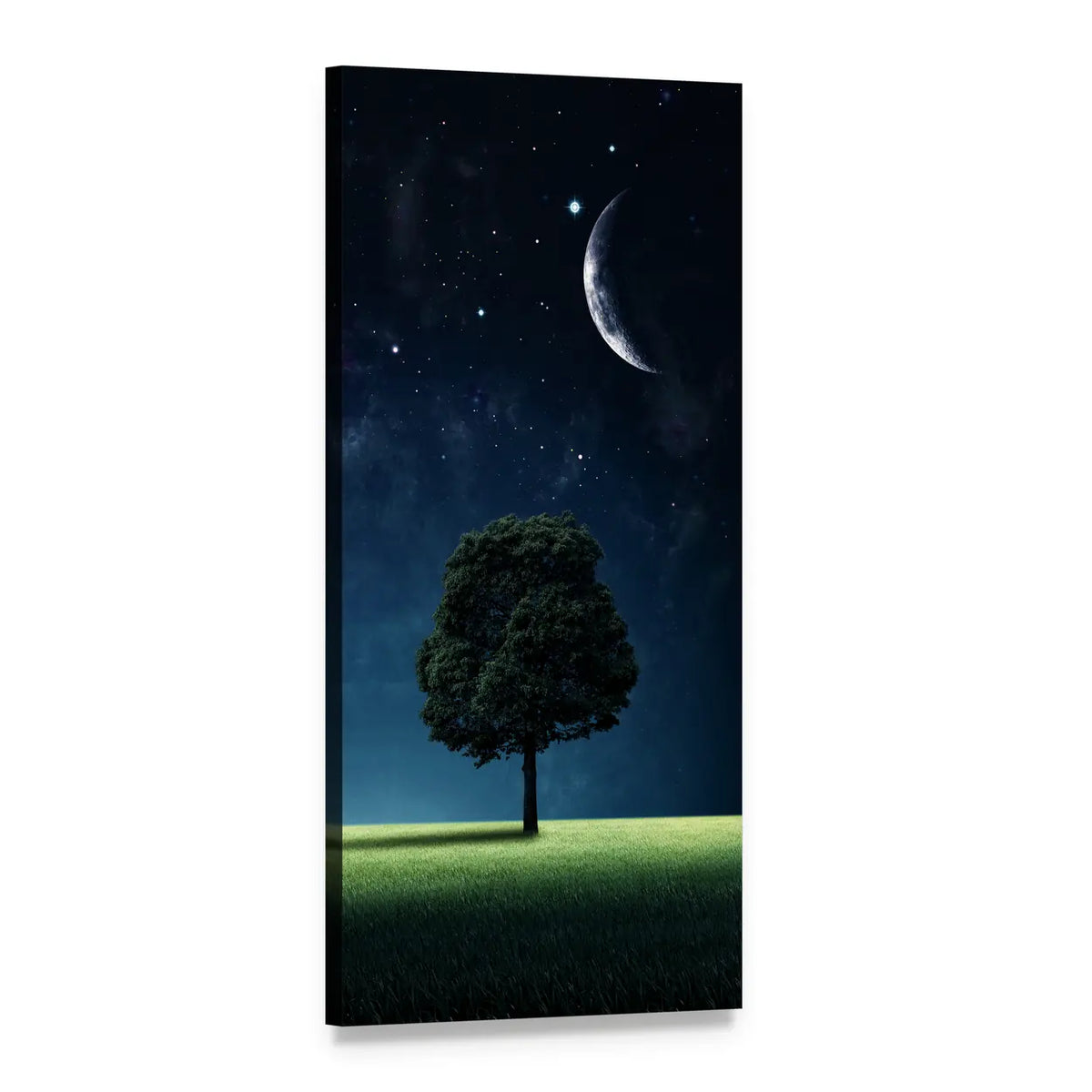 Lone Tree Under Starry Night Vertical Canvas Wall Art, 1 panel 1 Vertical layout gallery wrapped canvas set, angled product view