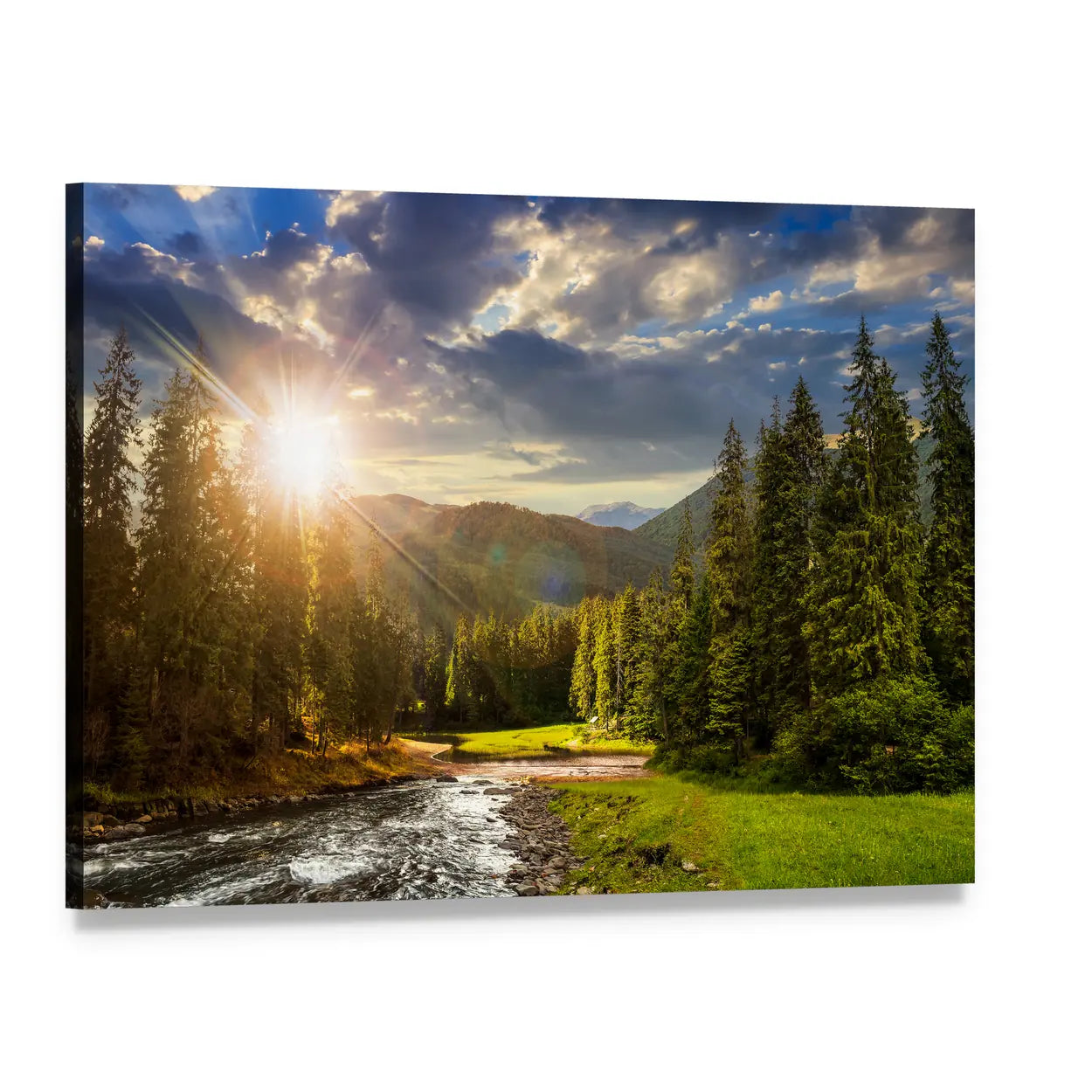 Pine Trees by Mountain River Canvas Wall Art, single panel gallery wrapped canvas, angled product view