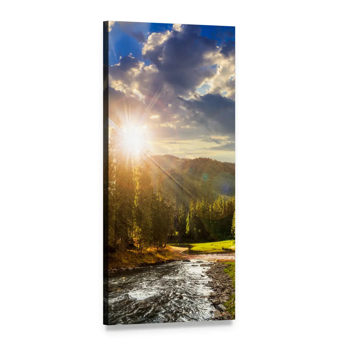 Pine Trees Along Mountain River at Sunrise Vertical Canvas Wall Art, 1 panel 1 Vertical layout gallery wrapped canvas set, angled product view