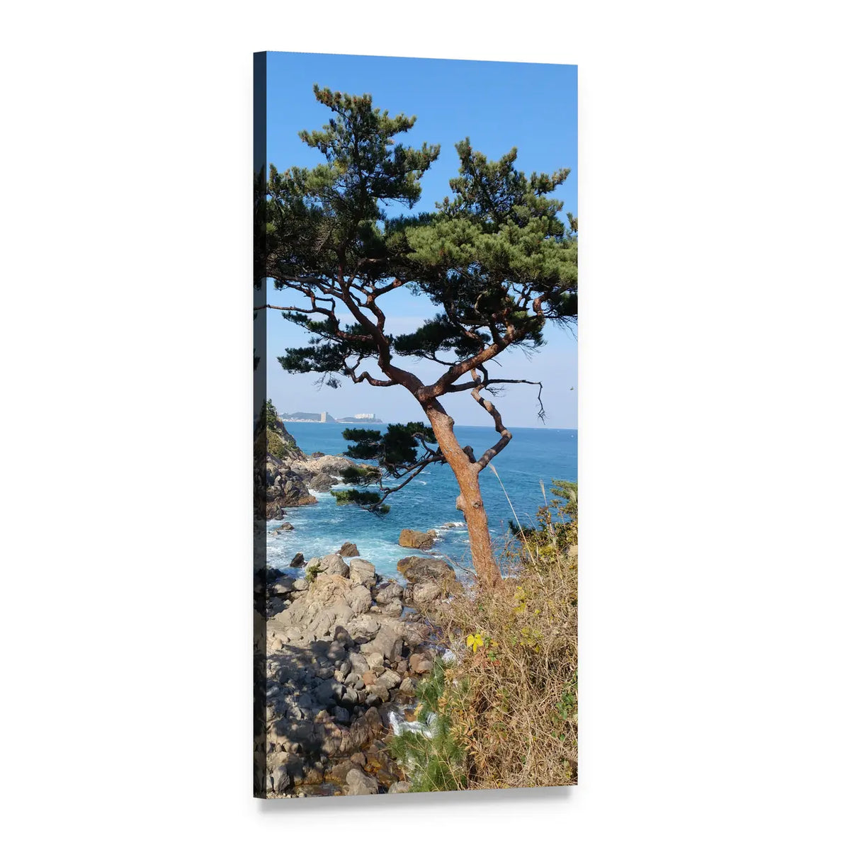 Gnarled Pine on Rocky Coast Vertical Canvas Wall Art, 1 panel 1 Vertical layout gallery wrapped canvas set, angled product view