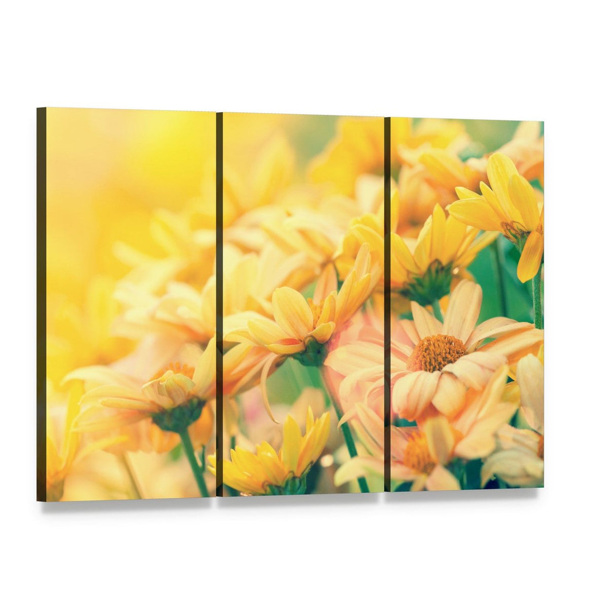 Vintage Flower Lawn Canvas Wall Art, 3 panel 3 Horizontal layout gallery wrapped canvas set, angled product view