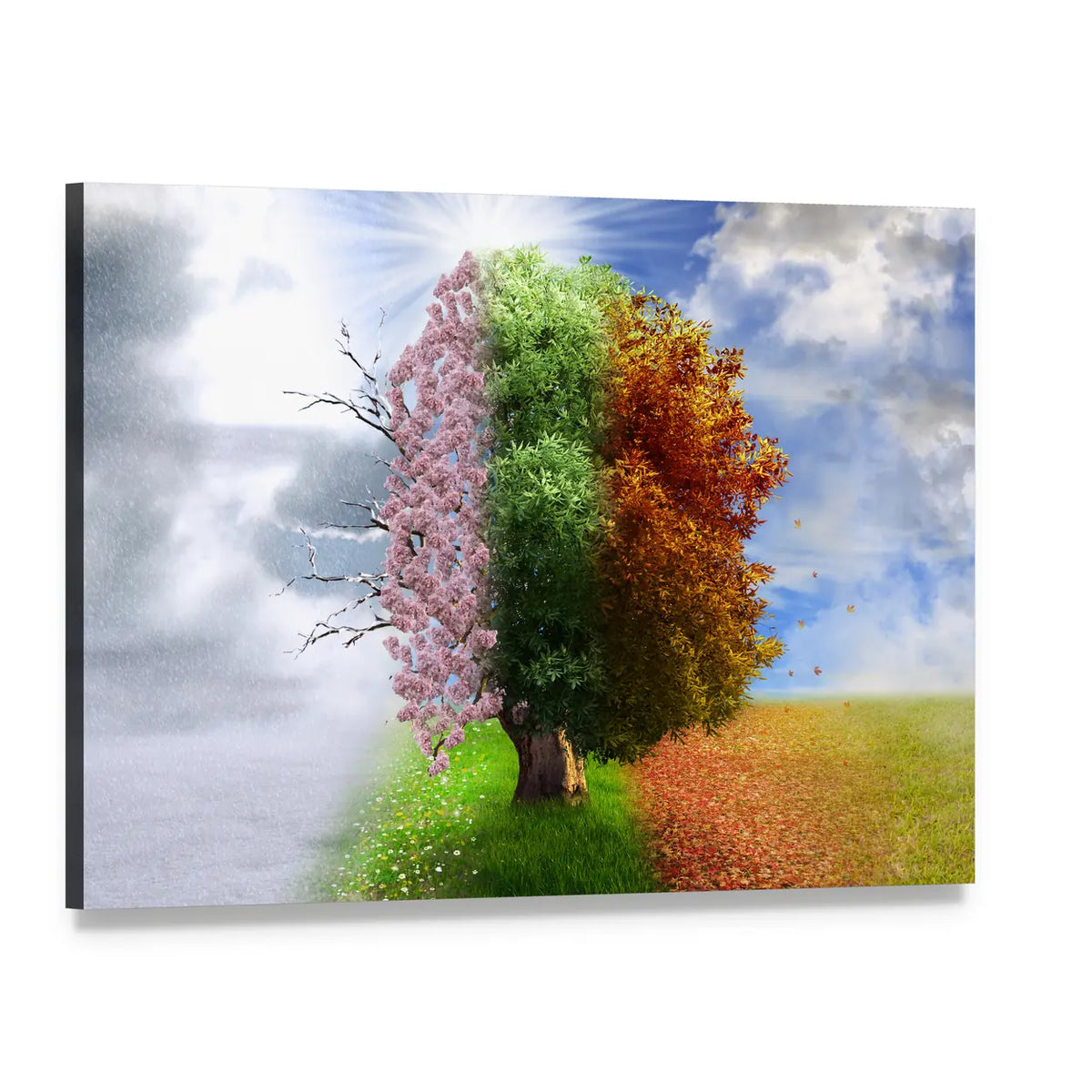 Four Seasons Tree Canvas Wall Art, single panel gallery wrapped canvas, angled product view