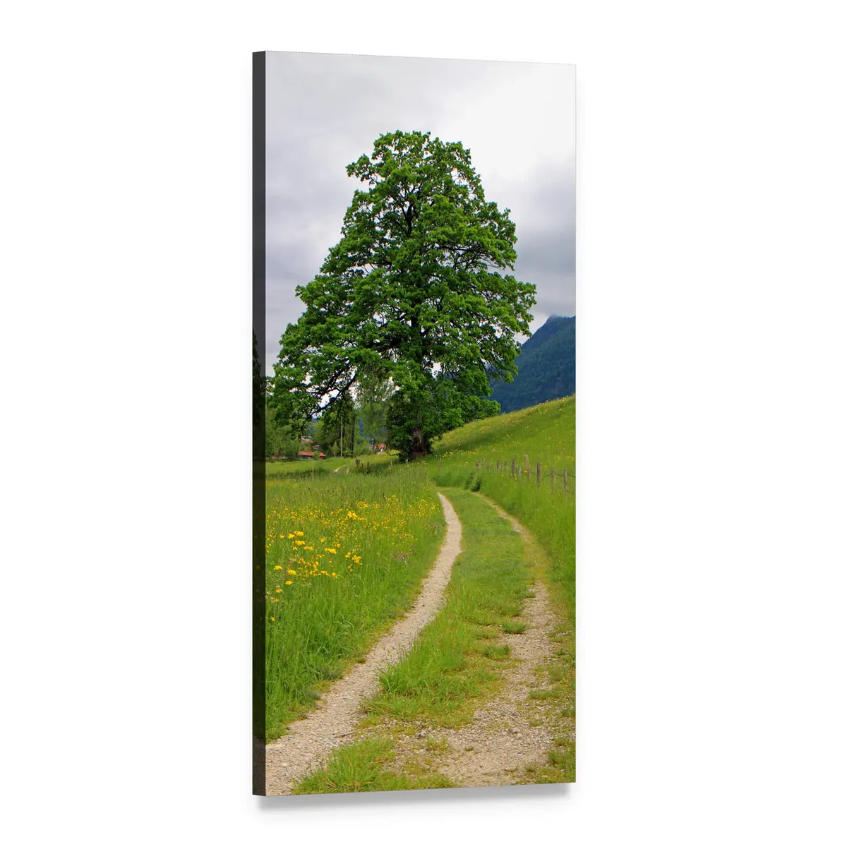 Dirt Path Through Summer Meadow Vertical Canvas Wall Art, 1 panel 1 Vertical layout gallery wrapped canvas set, angled product view