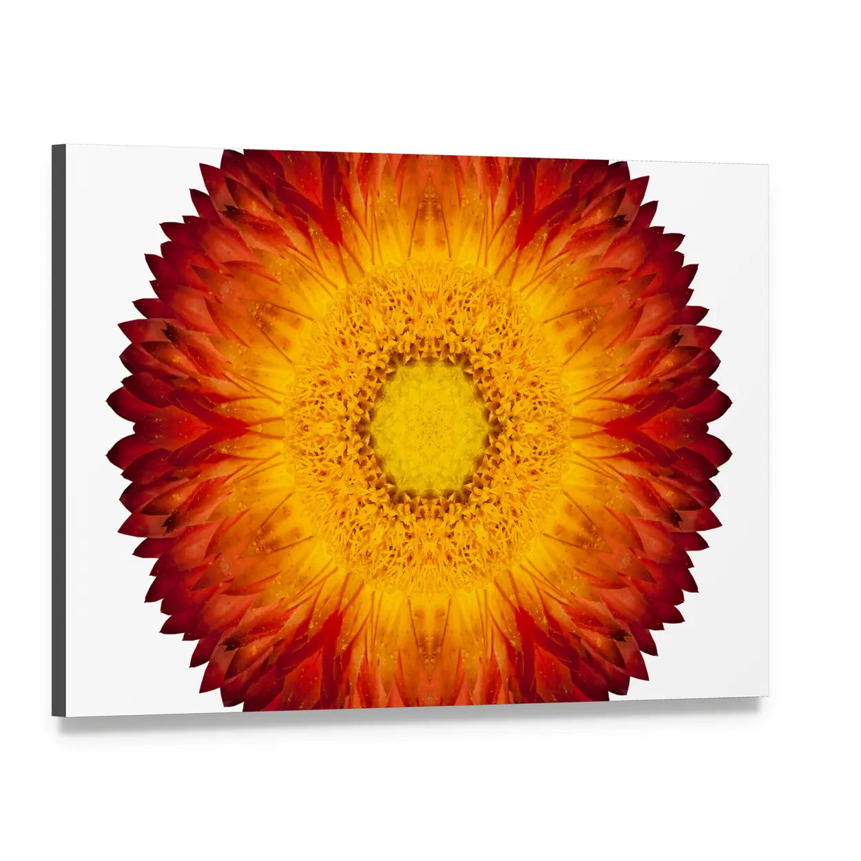 Kaleidoscopic Strawflower Mandala Canvas Wall Art, single panel gallery wrapped canvas, angled product view
