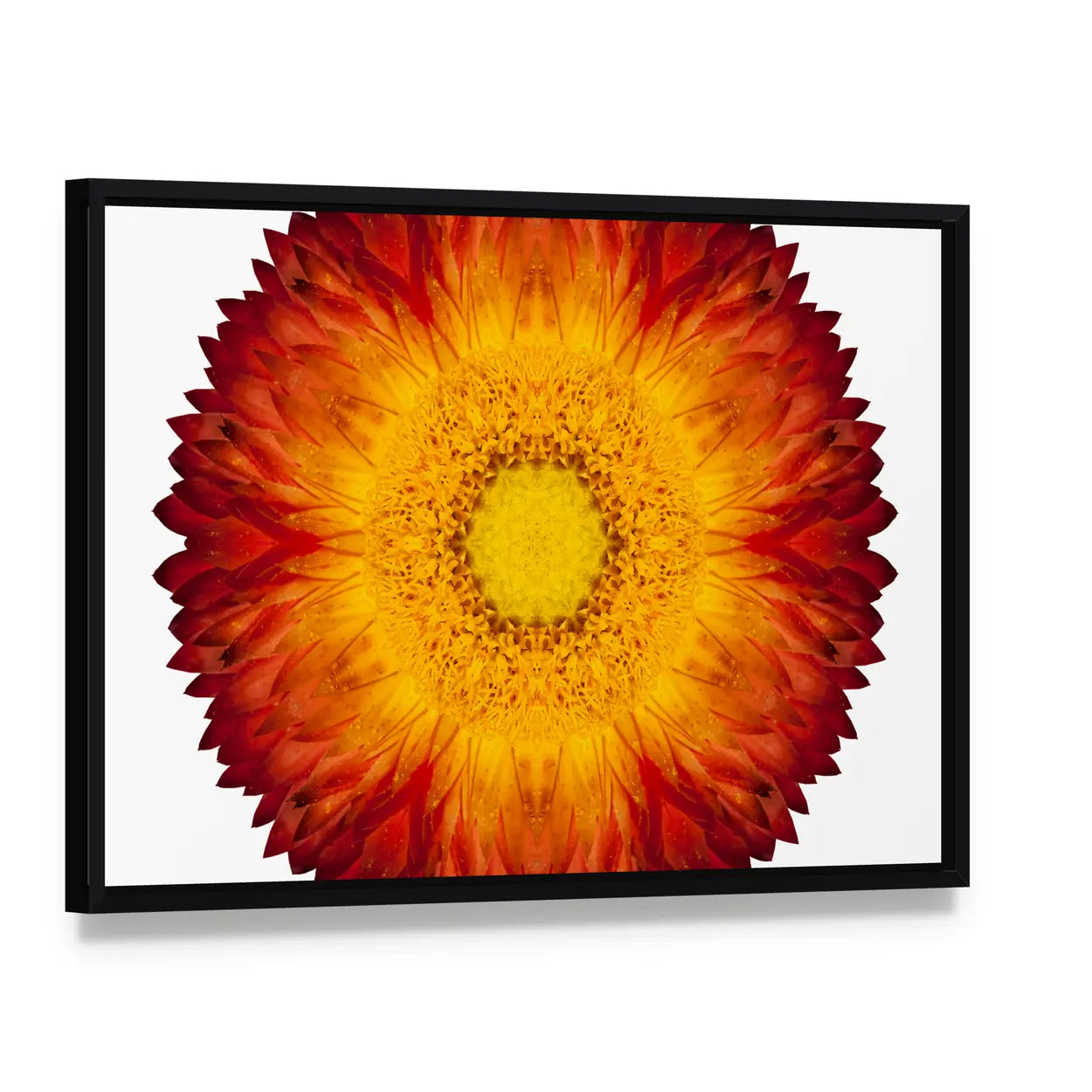 Kaleidoscopic Strawflower Mandala Canvas Wall Art, framed canvas in a black floater frame, angled product view
