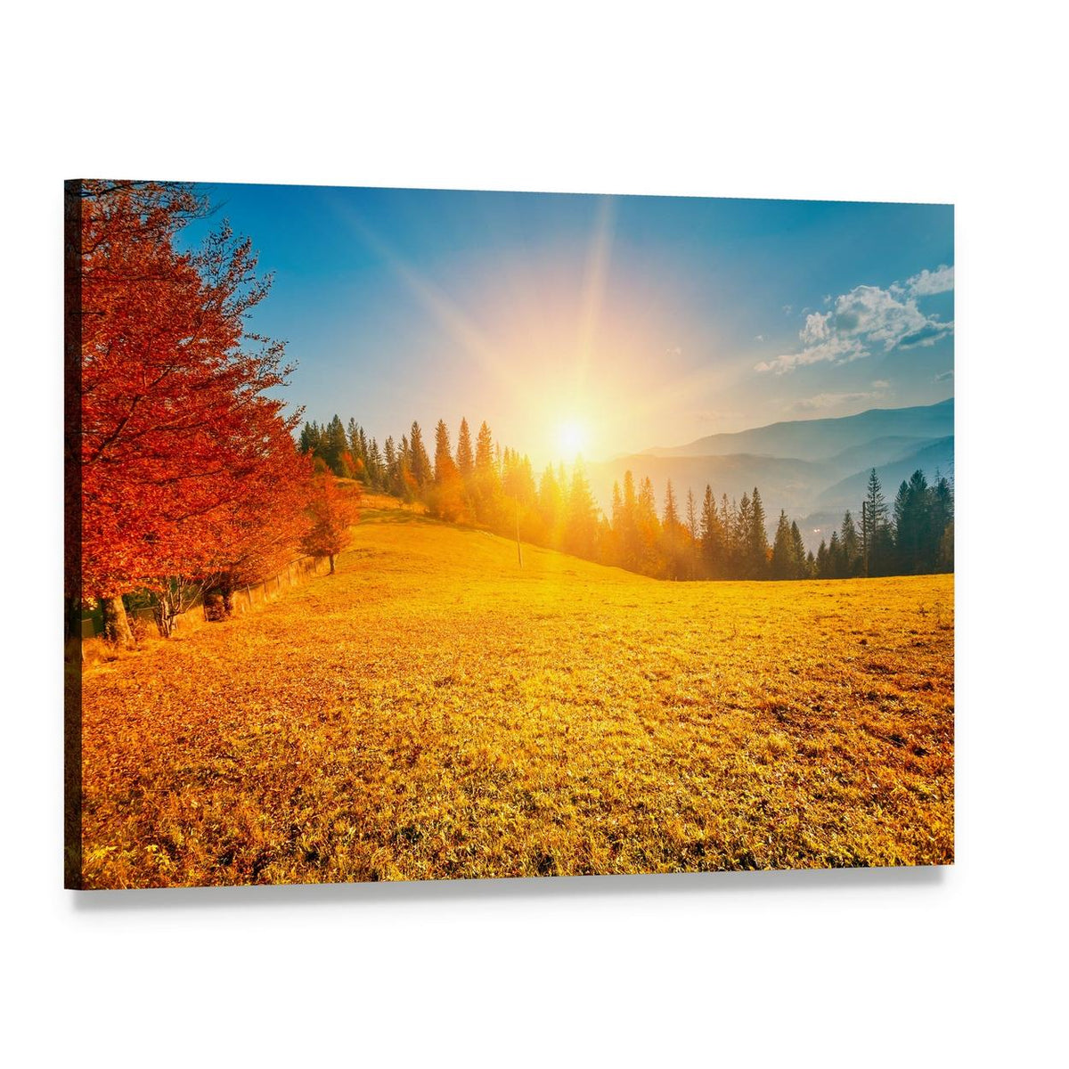 Autumn Mountain Field at Sunset Canvas Wall Art, single panel gallery wrapped canvas, angled product view