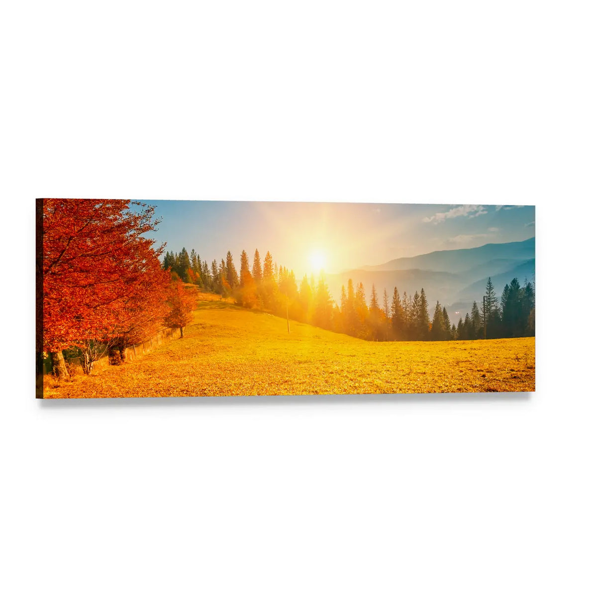 Golden Autumn Meadow with Sunburst Panoramic Canvas Wall Art, single panel gallery wrapped canvas, angled product view