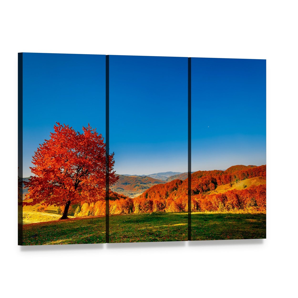 Autumn Hills with Bright Red Tree Canvas Wall Art, 3 panel 3 Horizontal layout gallery wrapped canvas set, angled product view