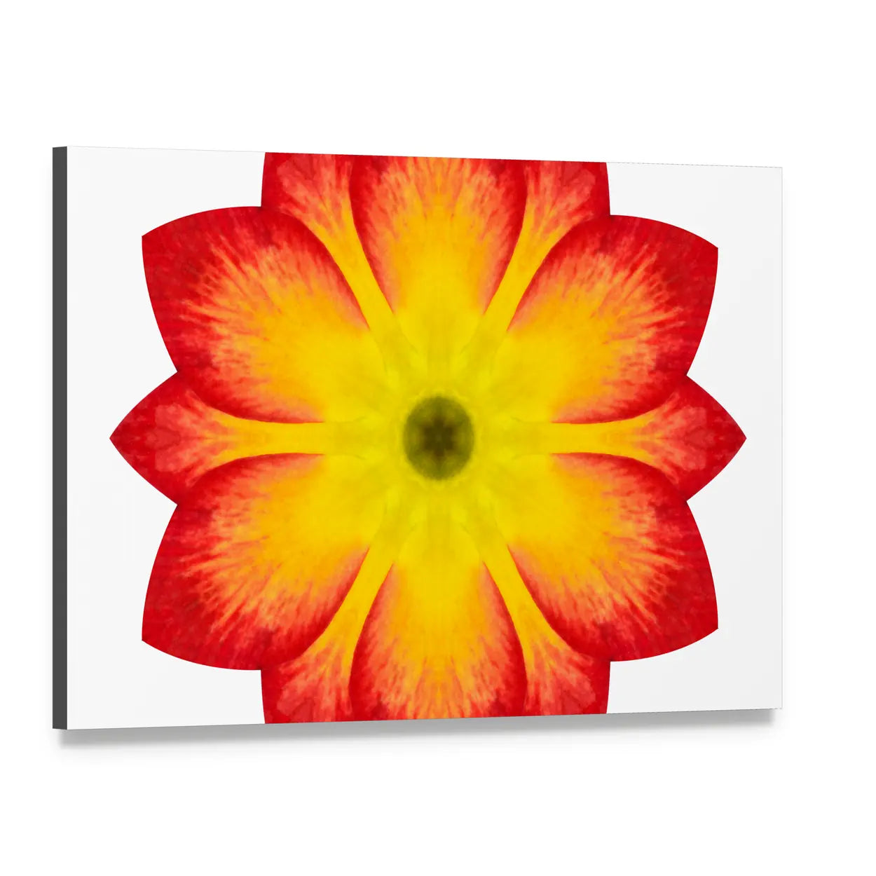 Primrose Mandala Flower Canvas Wall Art, single panel gallery wrapped canvas, angled product view