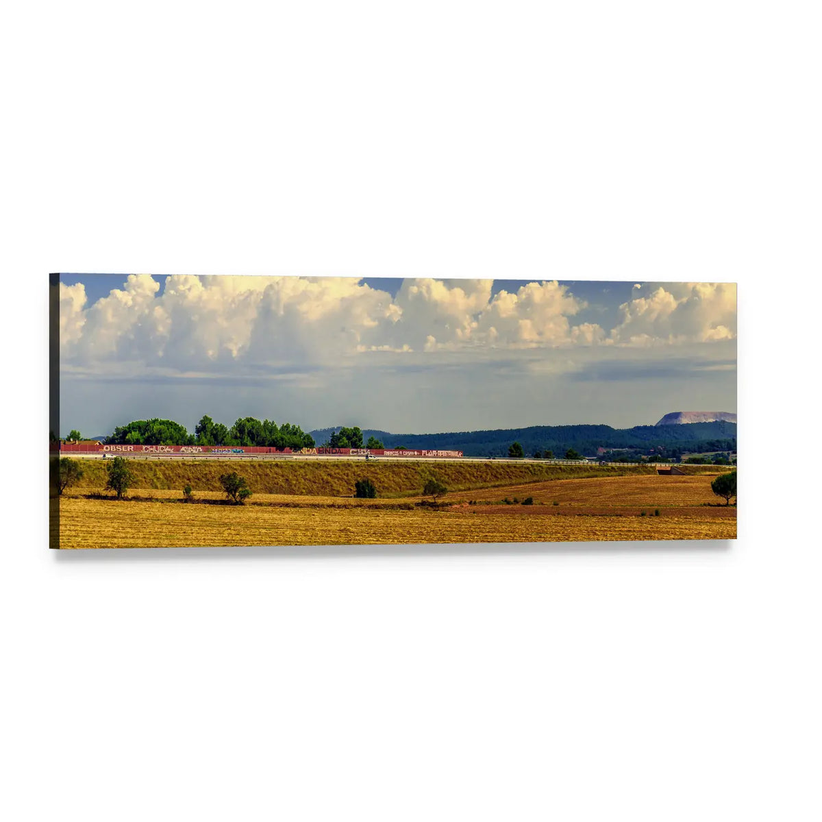 Freight Train Across Golden Field Panoramic Canvas Wall Art, single panel gallery wrapped canvas, angled product view