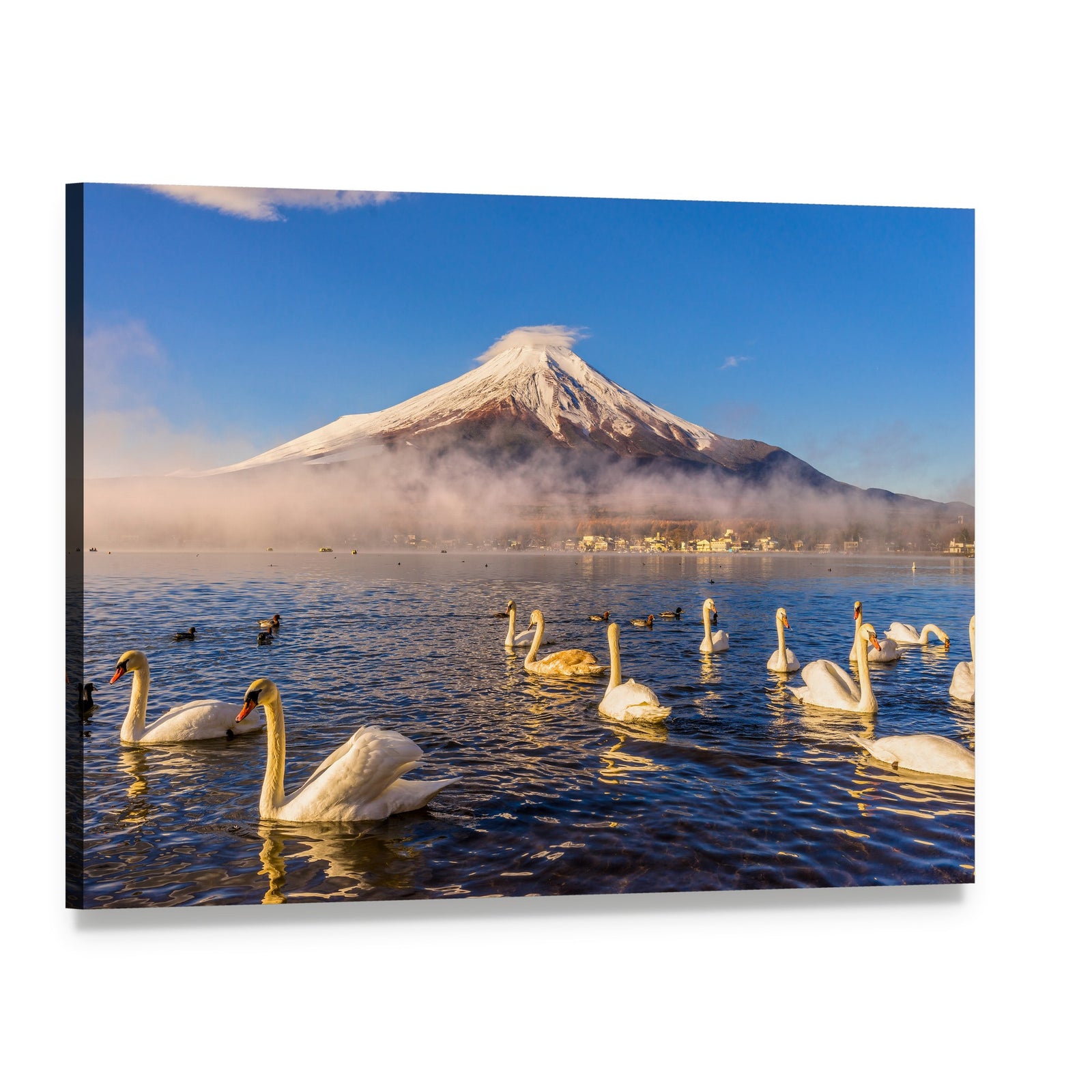 Swans on Misty Lake at Mount Fuji Canvas Wall Art, single panel gallery wrapped canvas, angled product view