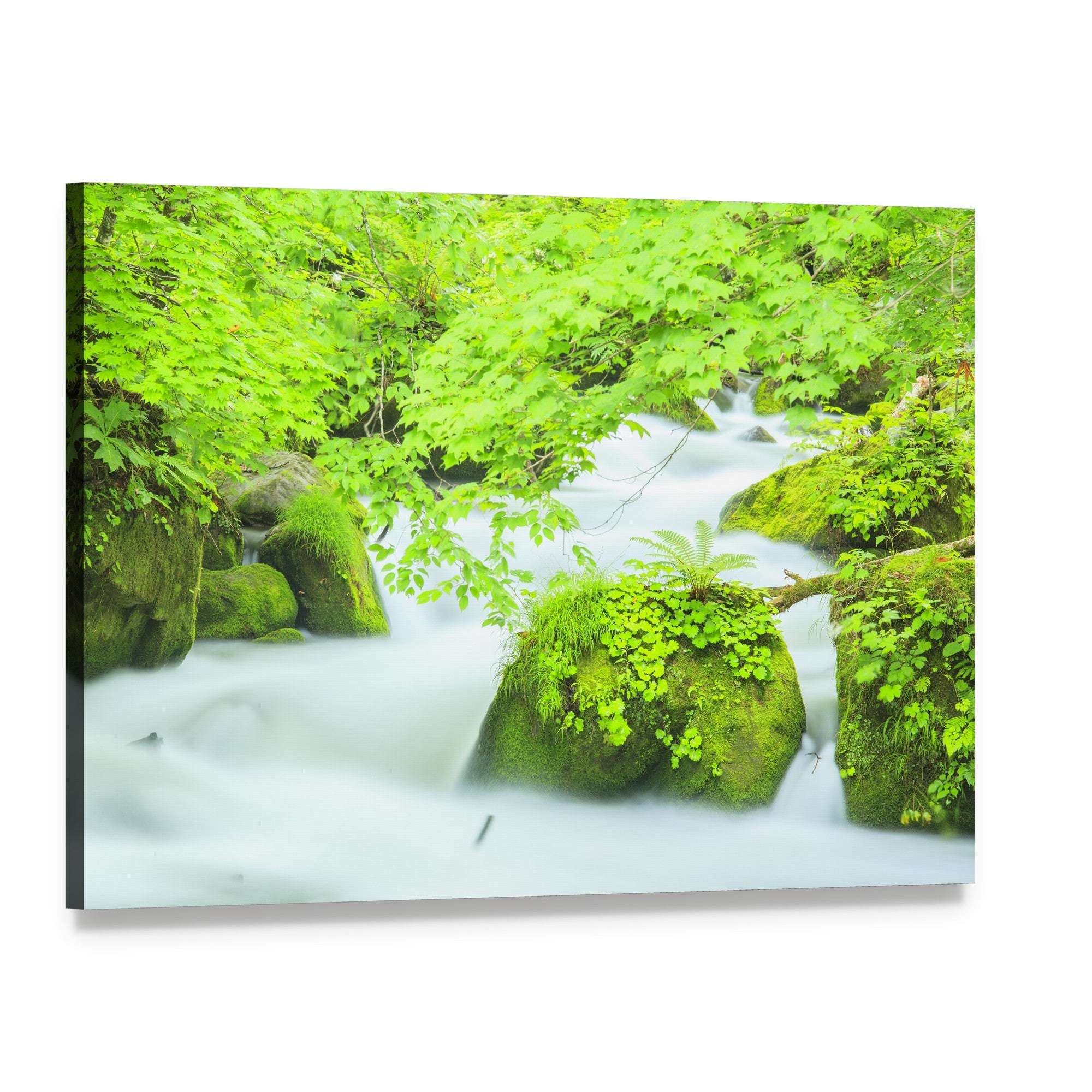 Oirase Stream Japan Canvas Wall Art, single panel gallery wrapped canvas, angled product view