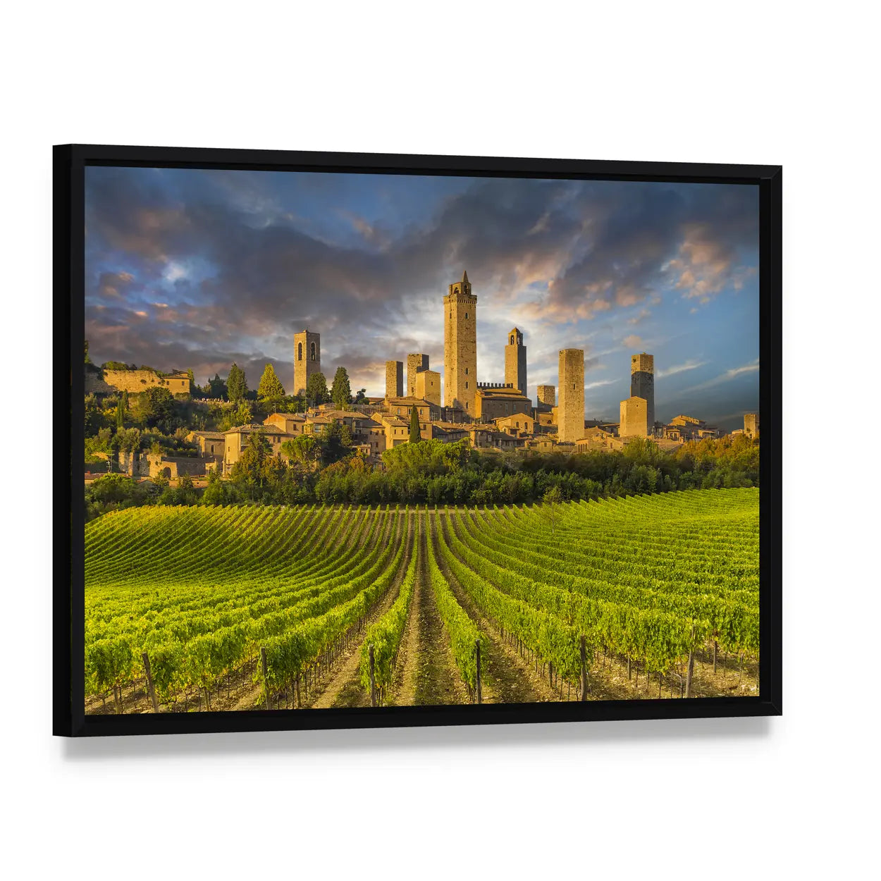 Vineyards of San Gimignano, Tuscany Canvas Wall Art, framed canvas in a black floater frame, angled product view