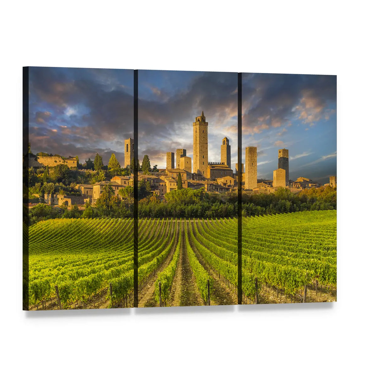 Vineyards of San Gimignano, Tuscany Canvas Wall Art, 3 panel 3 Horizontal layout gallery wrapped canvas set, angled product view