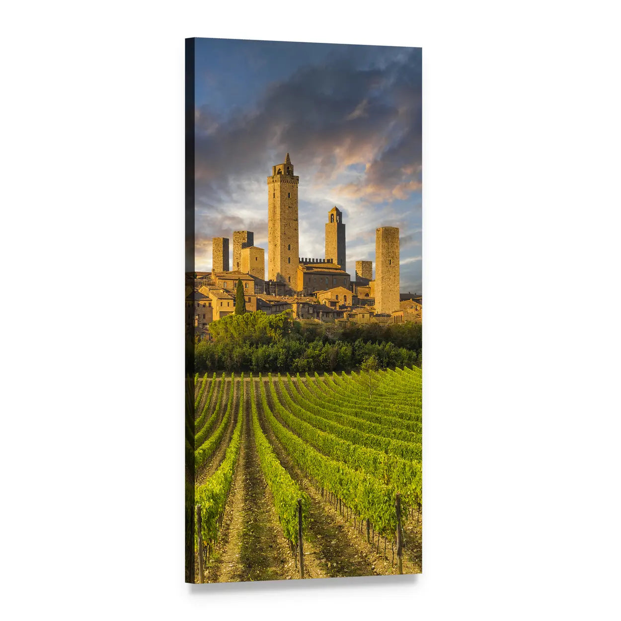 Tuscan Vineyards at Sunset Vertical Canvas Wall Art, 1 panel 1 Vertical layout gallery wrapped canvas set, angled product view