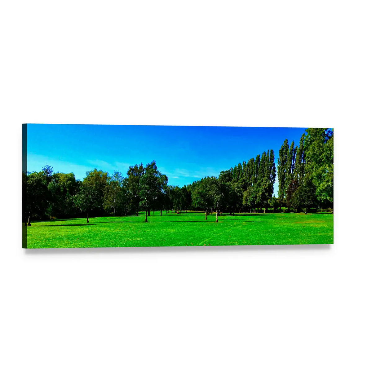 Hayfield in Summer Panoramic Canvas Wall Art, single panel gallery wrapped canvas, angled product view