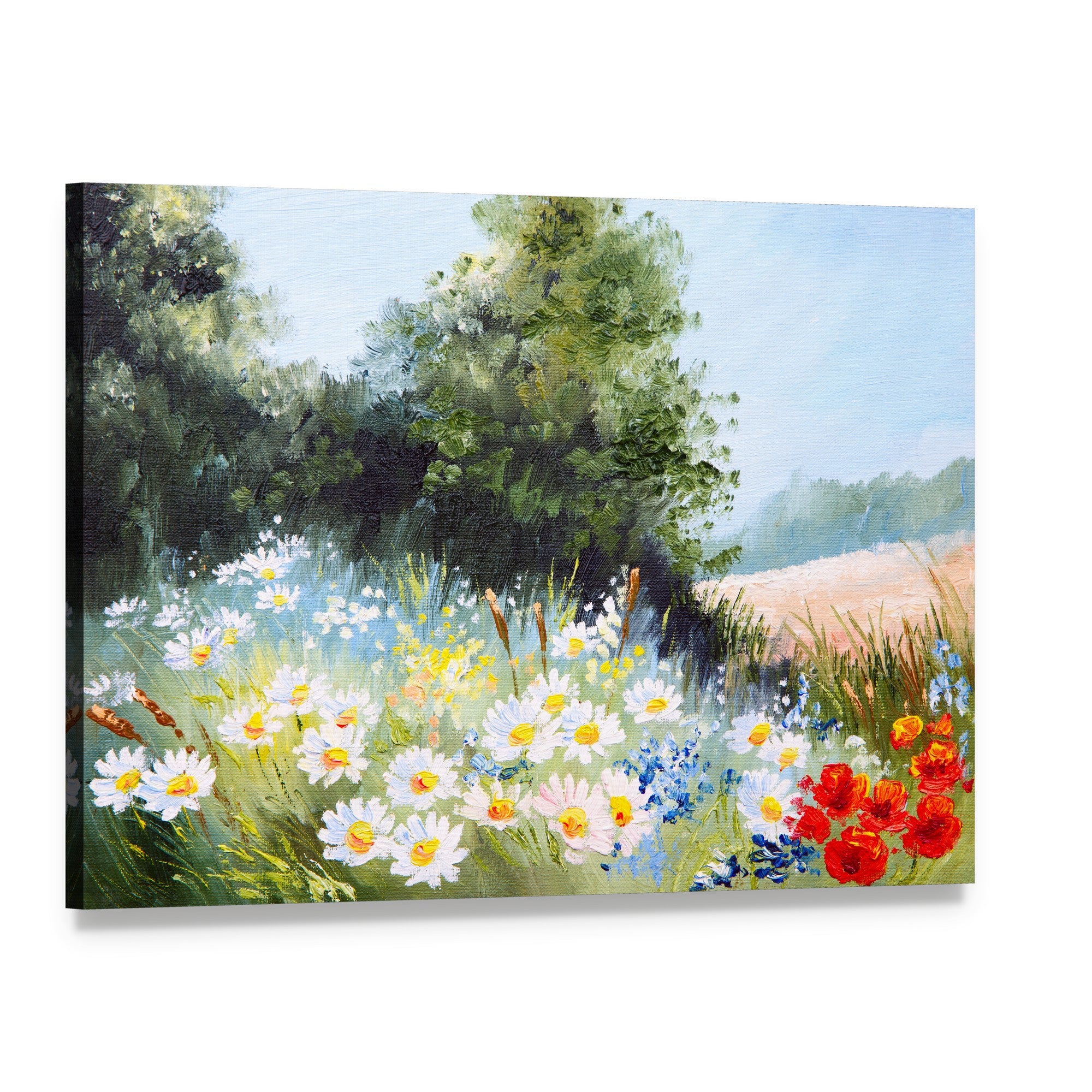 Meadow of Daisies Canvas Wall Art, single panel gallery wrapped canvas, angled product view