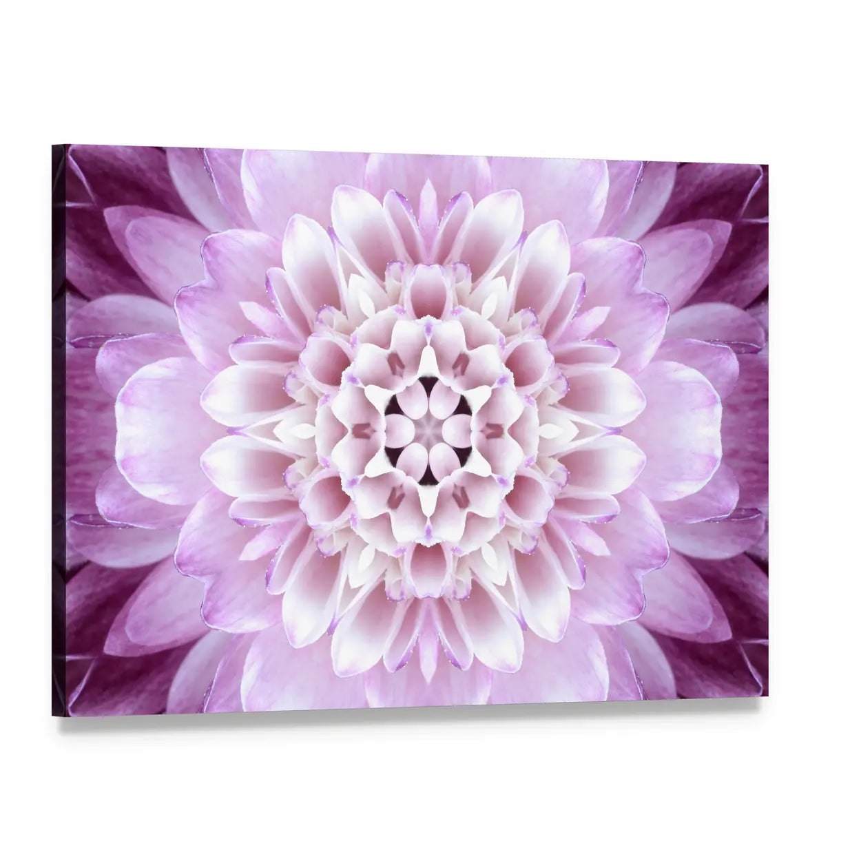 Purple Concentric Flower Canvas Wall Art, single panel gallery wrapped canvas, angled product view