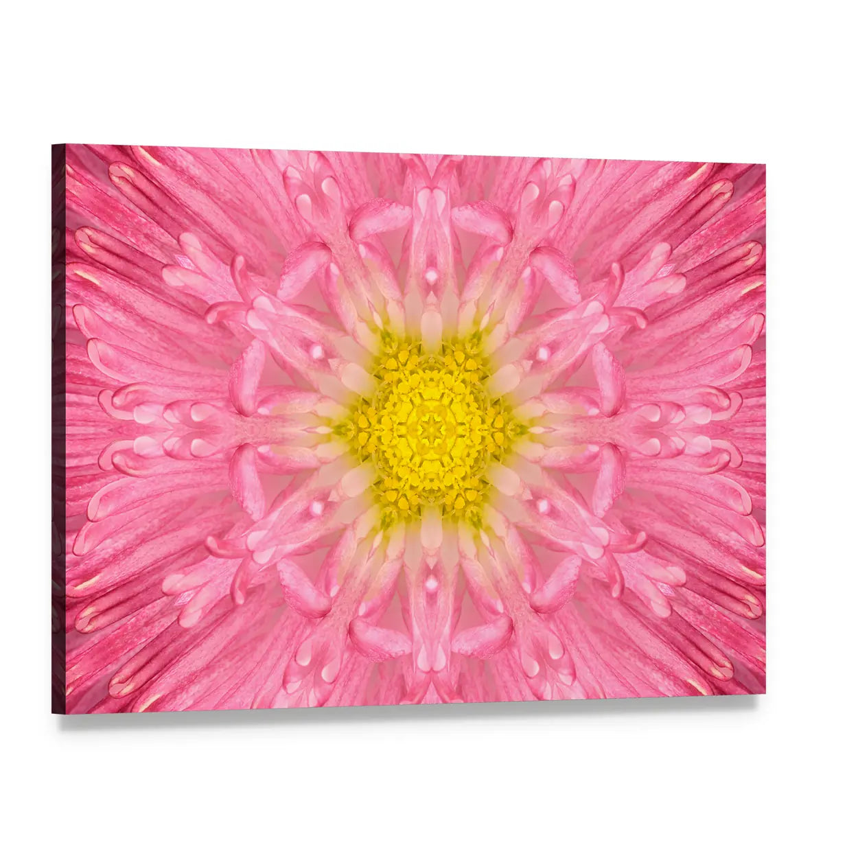 Pink Concentric Flower Canvas Wall Art, single panel gallery wrapped canvas, angled product view