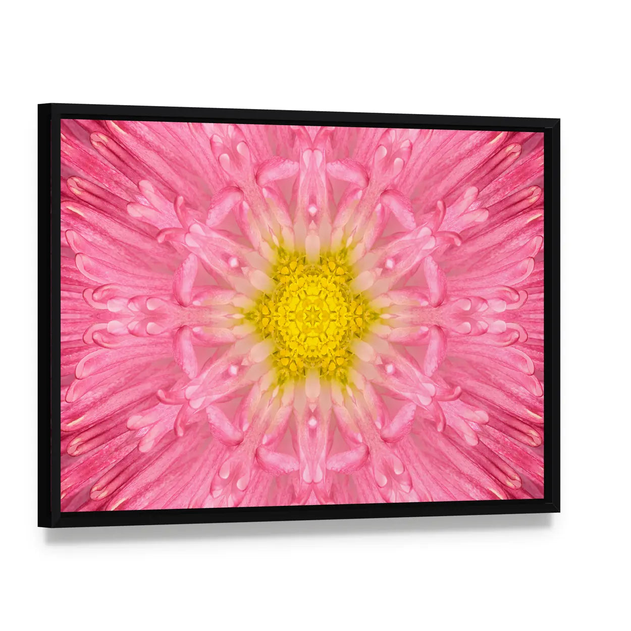 Pink Concentric Flower Canvas Wall Art, framed canvas in a black floater frame, angled product view