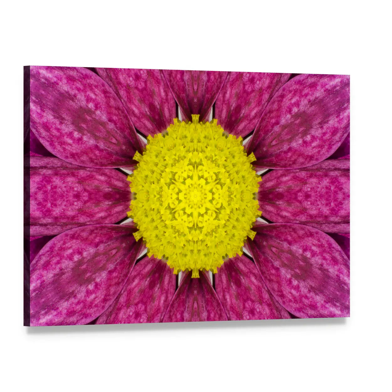 Purple Concentric Flower Canvas Wall Art, single panel gallery wrapped canvas, angled product view