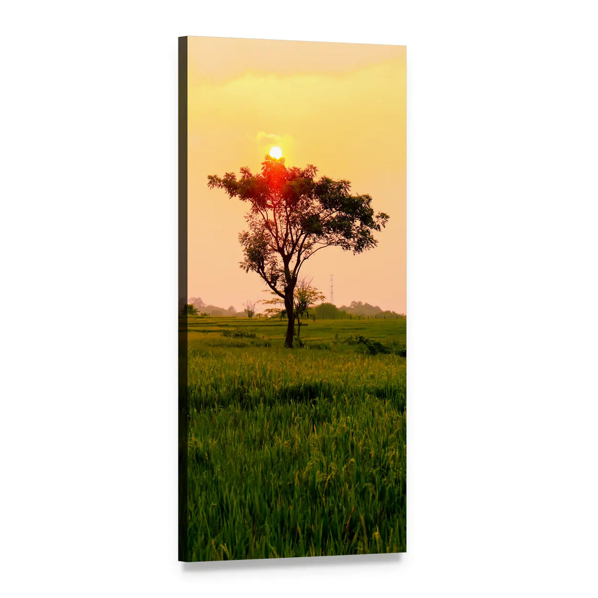 Sun Behind Tree Over Green Field Vertical Canvas Wall Art, 1 panel 1 Vertical layout gallery wrapped canvas set, angled product view