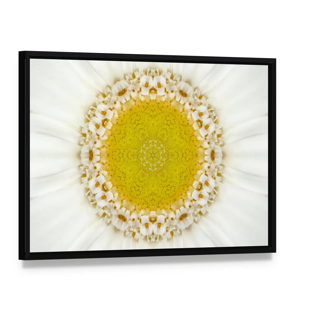 White Concentric Flower Canvas Wall Art, framed canvas in a black floater frame, angled product view
