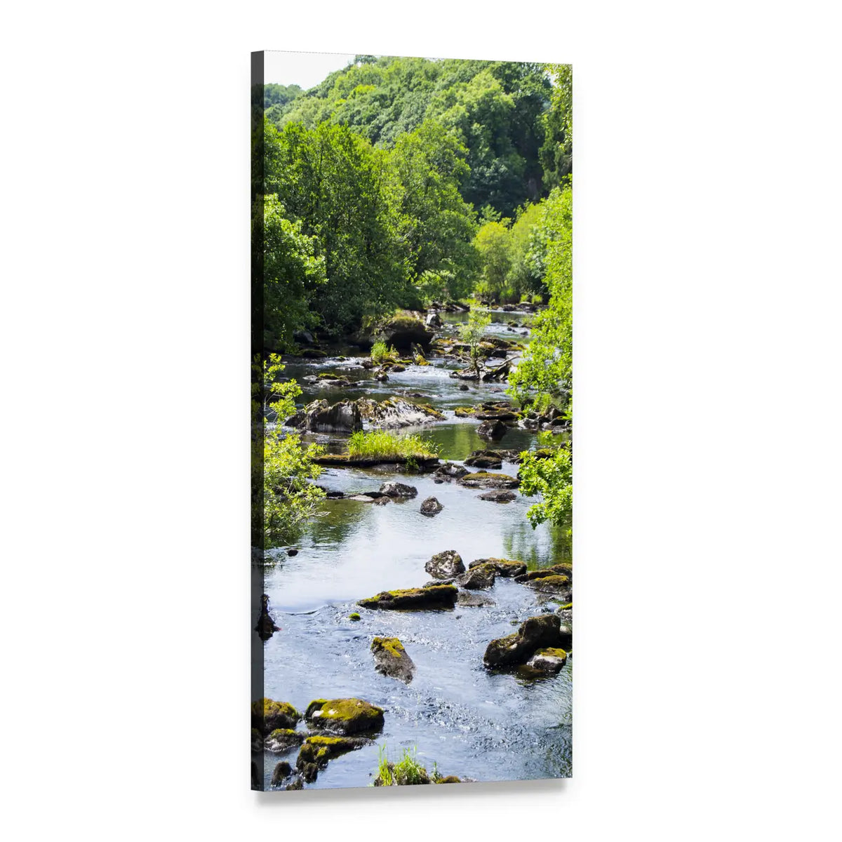 Forest Stream with Moss-covered Rocks Vertical Canvas Wall Art, 1 panel 1 Vertical layout gallery wrapped canvas set, angled product view