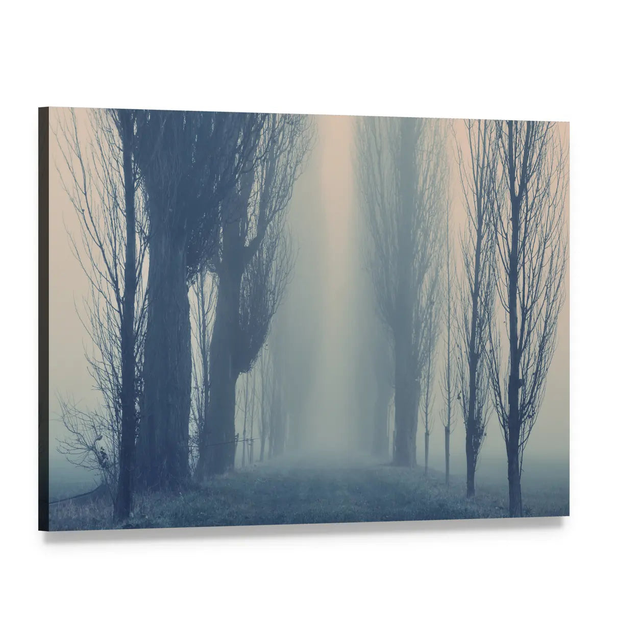 Autumn Fog in the Old Forest Canvas Wall Art, single panel gallery wrapped canvas, angled product view