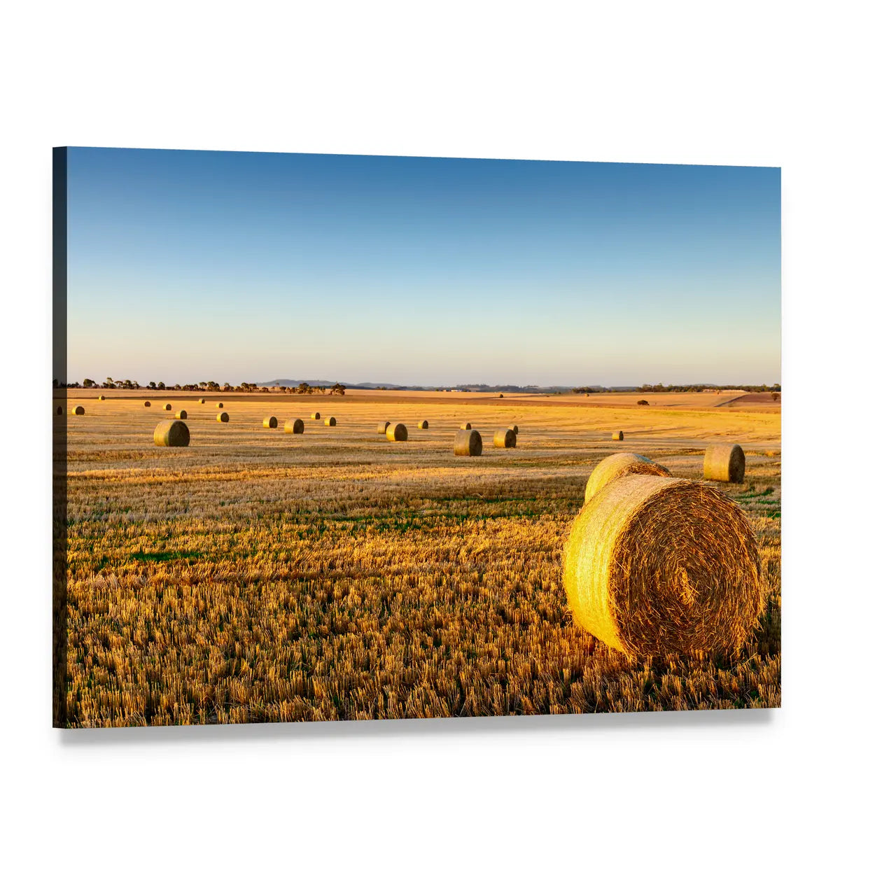 Hay Bales at Golden Hour Canvas Wall Art, single panel gallery wrapped canvas, angled product view