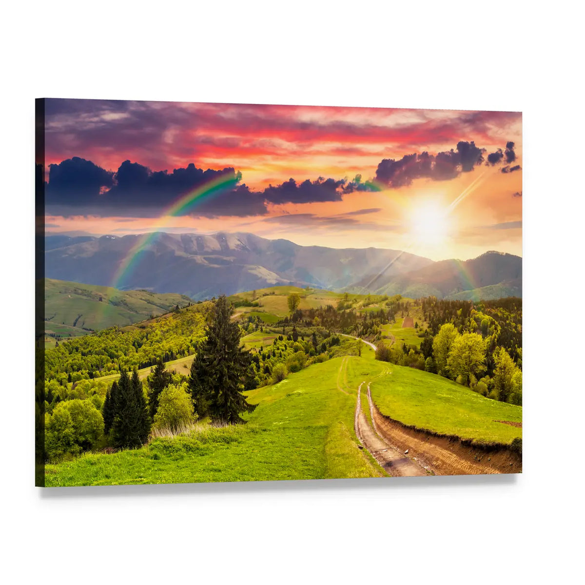 Pine Trees Beside Winding Road at Sunset Canvas Wall Art, single panel gallery wrapped canvas, angled product view