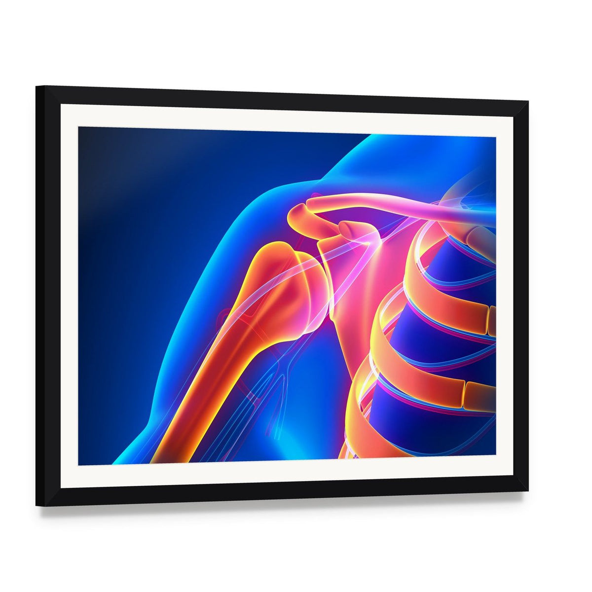 Glowing Shoulder Joint Anatomy Canvas Wall Art, framed print with white mat and black frame, angled product view