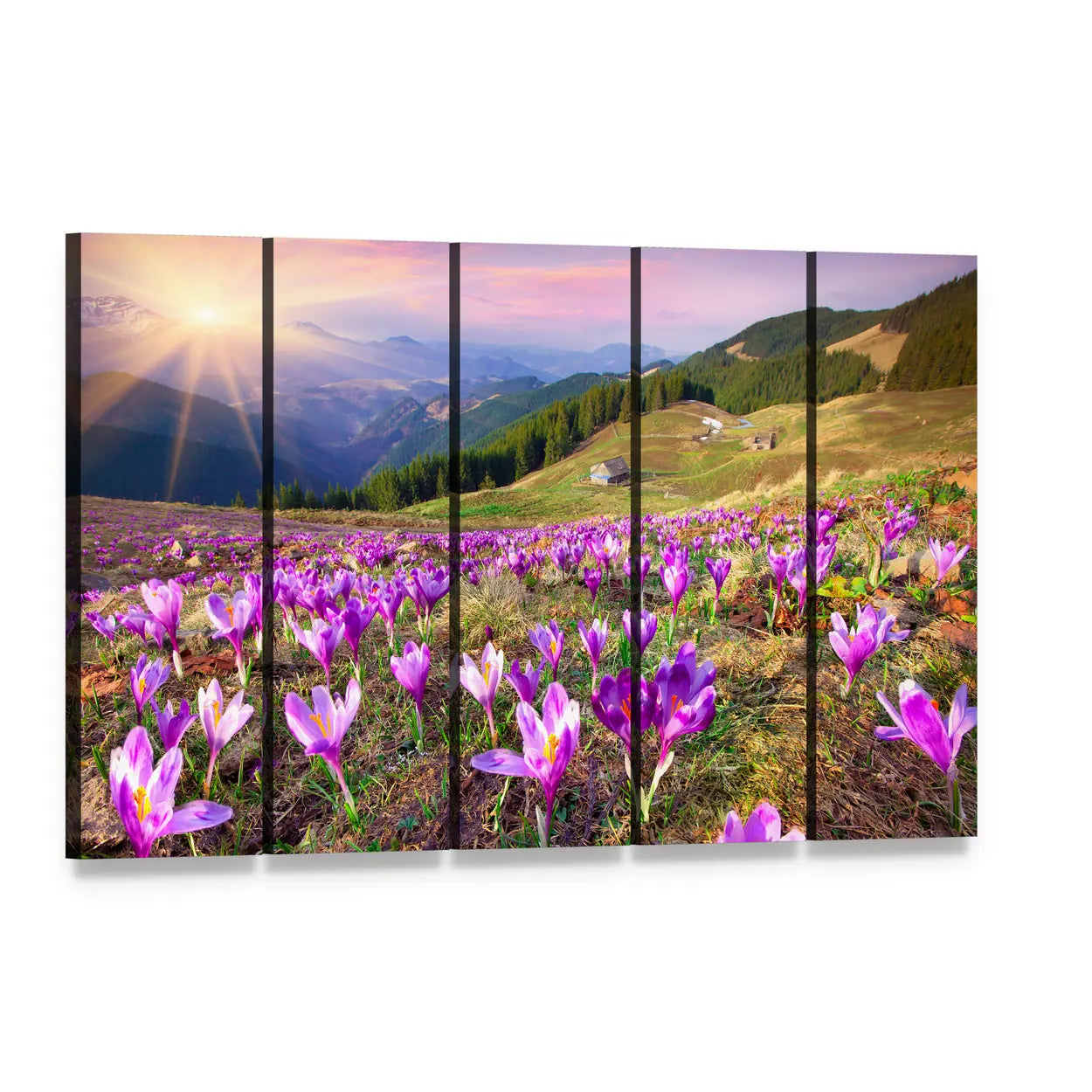 Field of Purple Crocuses at Sunrise Canvas Wall Art, 5 panel 5 Horizontal layout gallery wrapped canvas set, angled product view