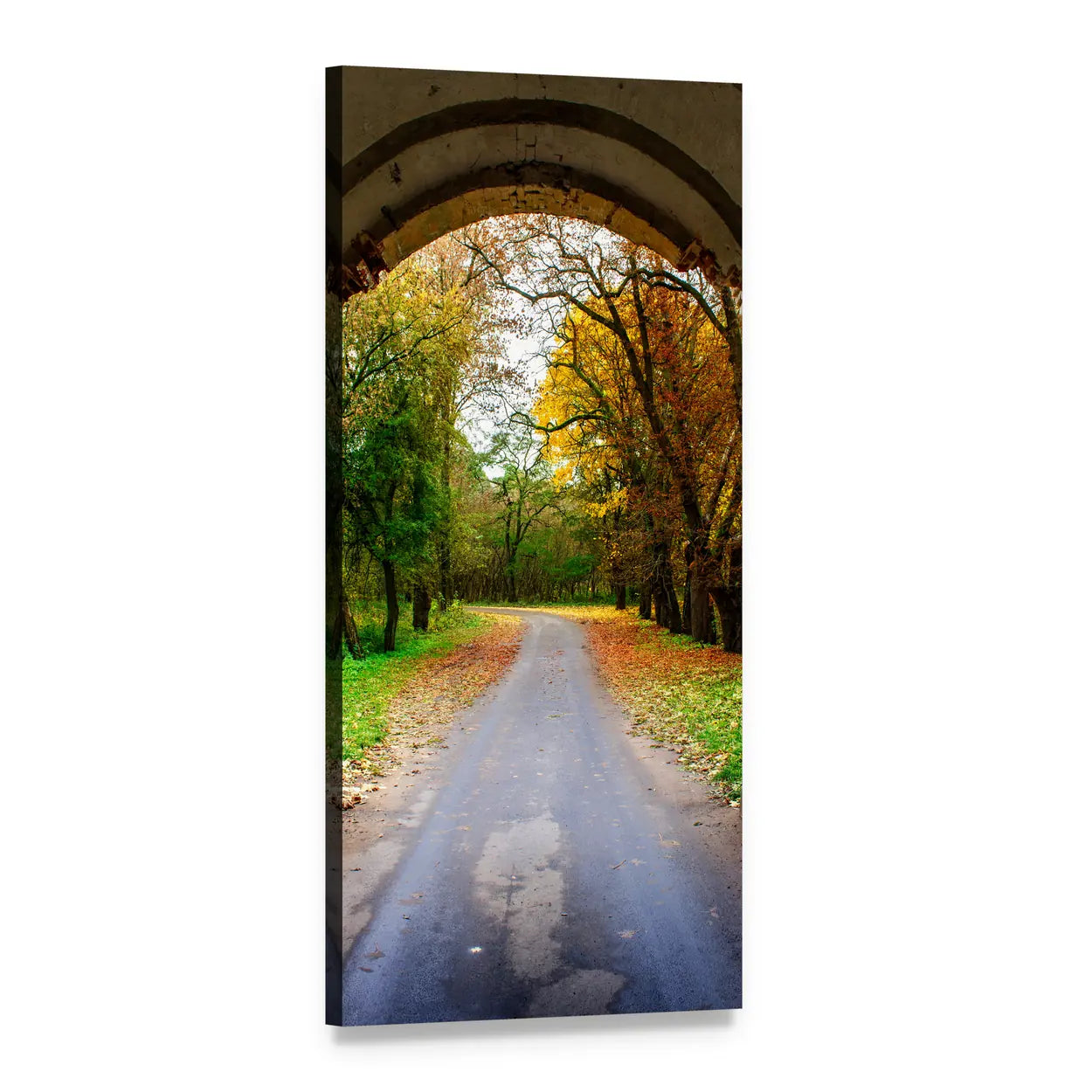 Autumn Pathway Through Archway Vertical Canvas Wall Art, 1 panel 1 Vertical layout gallery wrapped canvas set, angled product view