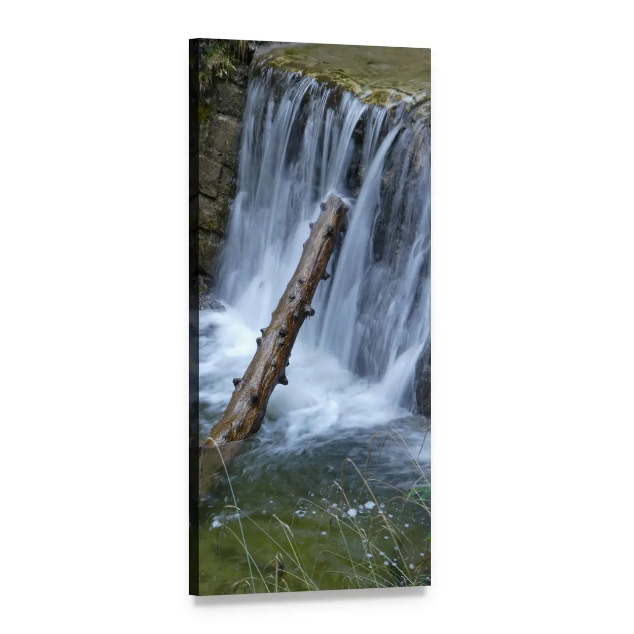 Fallen Tree Trunk in Waterfall Vertical Canvas Wall Art, 1 panel 1 Vertical layout gallery wrapped canvas set, angled product view