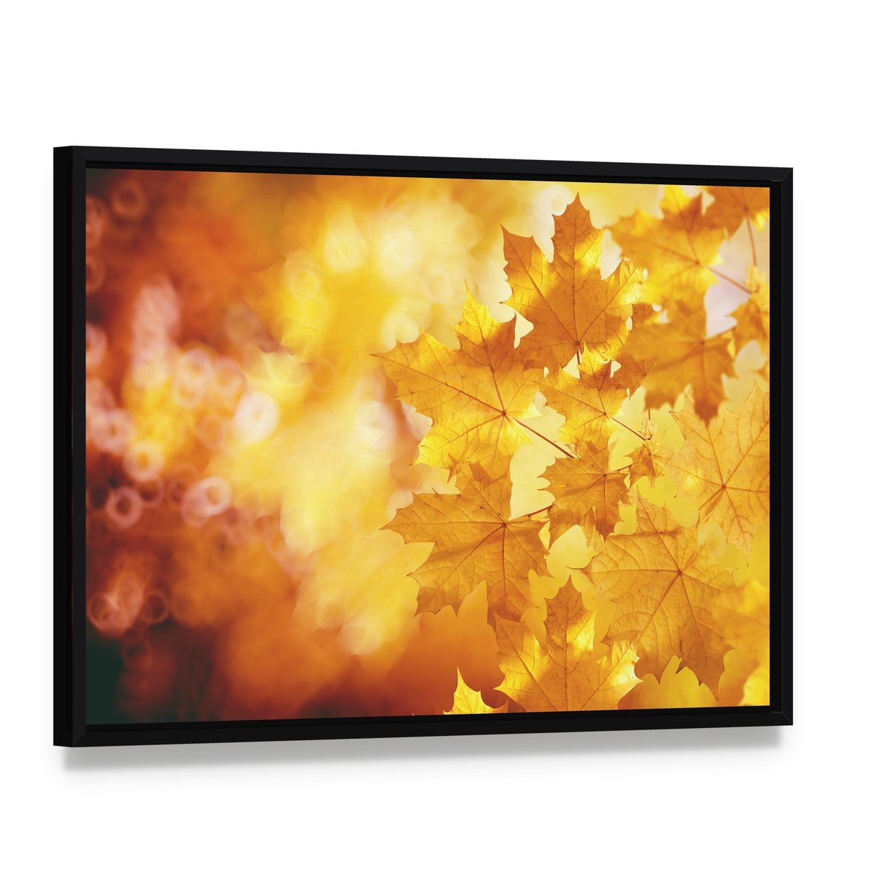 Maple Leaves in Autumn Colors Canvas Wall Art, framed canvas in a black floater frame, angled product view