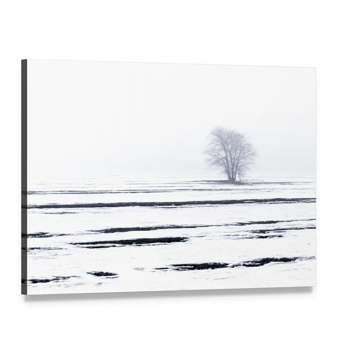 Solitary Tree in Snowy Field Canvas Wall Art, single panel gallery wrapped canvas, angled product view