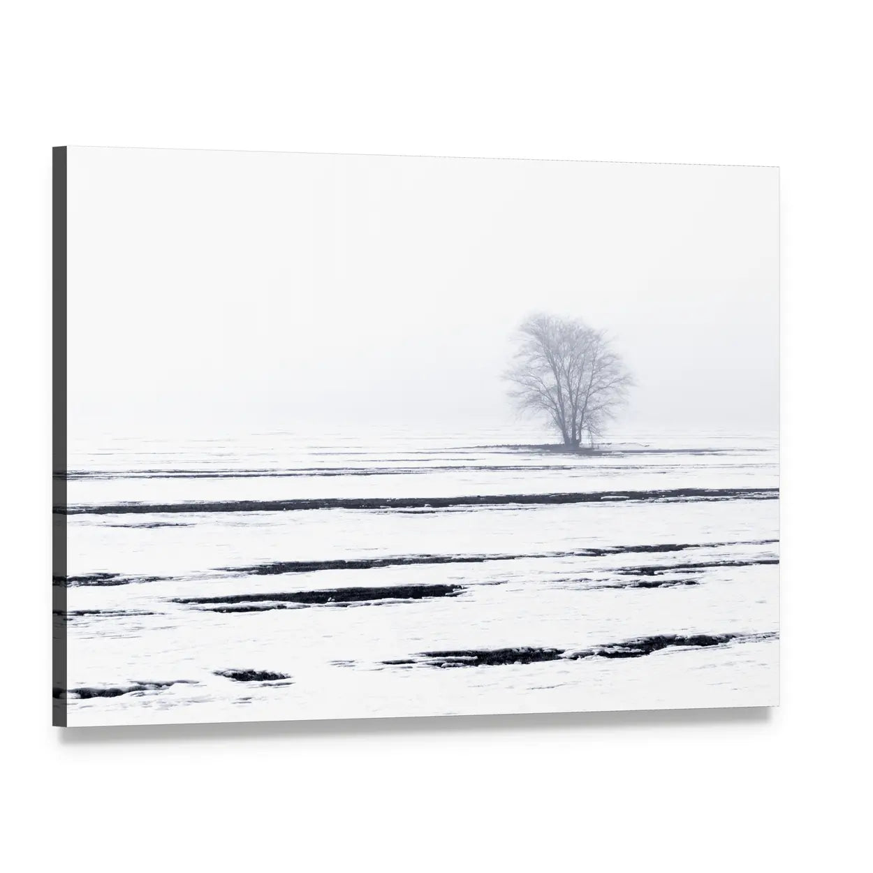 Solitary Tree in Snowy Field Canvas Wall Art, single panel gallery wrapped canvas, angled product view