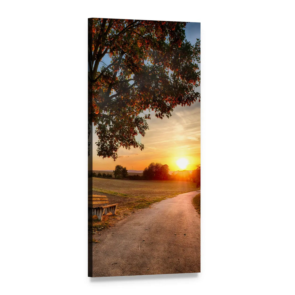 Autumn Path with Bench at Sunset Vertical Canvas Wall Art, 1 panel 1 Vertical layout gallery wrapped canvas set, angled product view